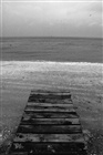 dailyPhoto8